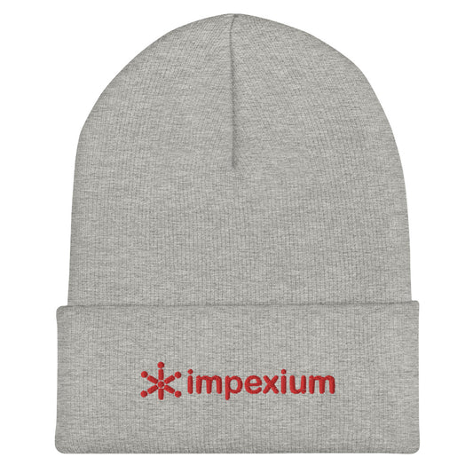 Winter Beanie